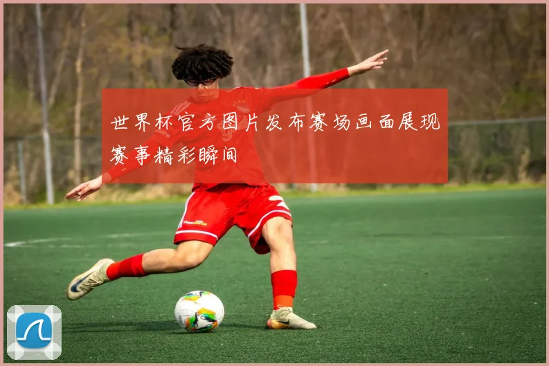 世界杯官方图片发布赛场画面展现赛事精彩瞬间
