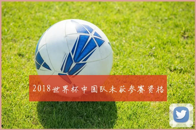 2018世界杯中国队未获参赛资格