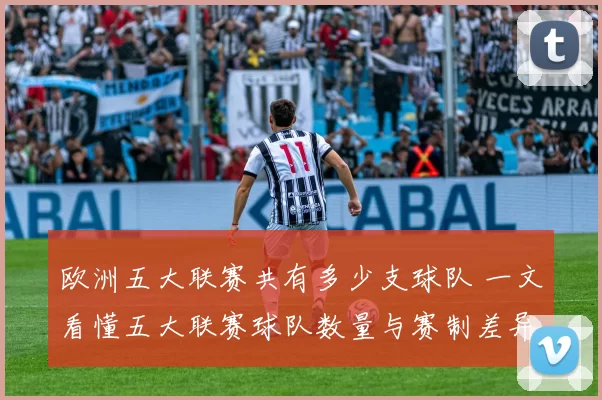 欧洲五大联赛共有多少支球队 一文看懂五大联赛球队数量与赛制差异